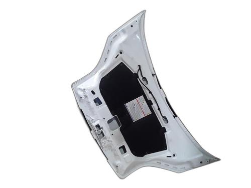 Hood FIAT FIORINO Box Body/MPV (225_) 1.3 D Multijet (225BXD1A, 225BXB1A, 225BXB11) | BP28363903C1 