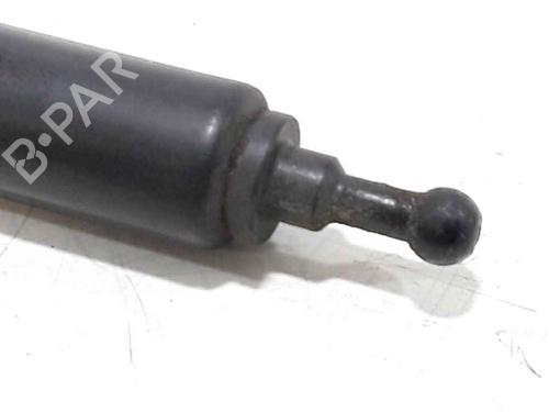 Hood lift support RENAULT MEGANE III Hatchback (BZ0/1_, B3_) 1.5 dCi (BZ09, BZ0D, BZ1W, BZ29, BZ14) | BP25167611C139 