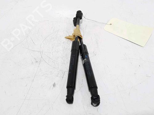 Used Hood lift support RENAULT SCÉNIC III (JZ0/1_) 1.5 dCi (86 hp) 25167802