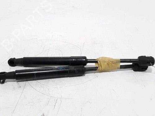 Hood lift support RENAULT SCÉNIC III (JZ0/1_) 1.5 dCi | BP25167802C139 