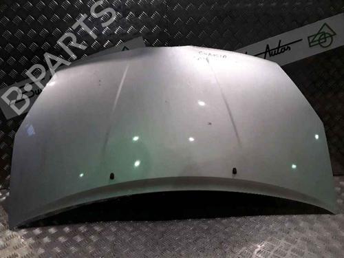 Hood TOYOTA COROLLA Verso (ZER_, ZZE12_, R1_) 2.2 D-4D (AUR10_, AUR10R) | BP25167392C1 