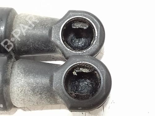 Hood lift support RENAULT SCÉNIC III (JZ0/1_) 1.5 dCi | BP29230314C139 