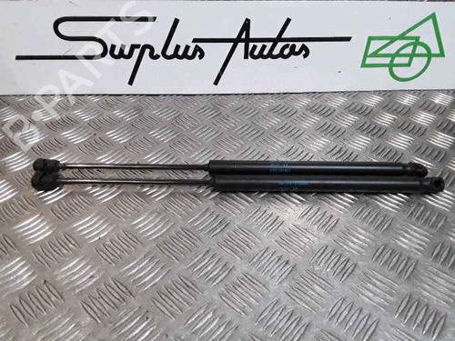 Tailgate lift support RENAULT CLIO III Grandtour (KR0/1_) 1.5 dCi (KR0F) | BP25168013C138