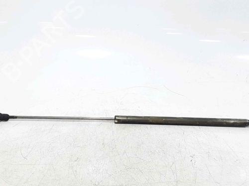 Used Hood lift support VW NEW BEETLE (9C1, 1C1) 1.9 TDI (101 hp) 25167683