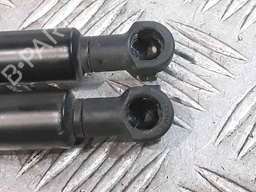 Hood lift support BMW 3 (E90) 320 d | BP25167525C139 