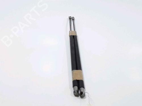 Tailgate lift support NISSAN NOTE (E11, NE11) 1.6 | BP25168821C138 