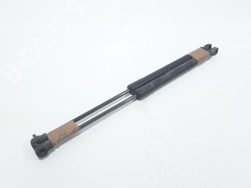 Tailgate lift support RENAULT CLIO IV (BH_) 1.5 dCi 75 | BP25767406C138 