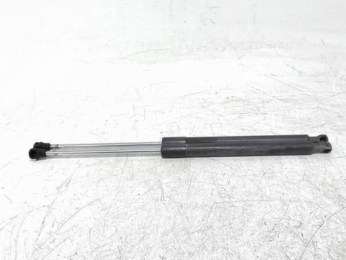 Used Tailgate lift support Tailgate lift support RENAULT CLIO III (BR0/1, CR0/1) [2005-2014] 39731686 39731686