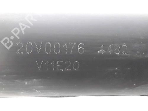 Left rear shock absorber FIAT PUNTO (188_) 1.2 60 (188.030, .050, .130, .150, .230, .250) | BP25196917M18 
