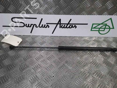 Used Hood lift support DACIA SANDERO II 1.5 dCi 75 / Blue dCi 75 (B8JW, B8M4, B8AH, B8M7, B8M6) (75 hp) 25167741