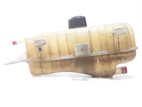Expansion tank RENAULT CLIO III (BR0/1, CR0/1) 1.5 dCi (BR17, CR17) | BP27267148C120 