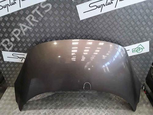 Hood RENAULT SCÉNIC III (JZ0/1_) 2.0 dCi (JZ0L) | BP25167304C1
