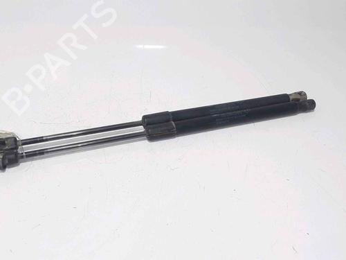 Used Tailgate lift support RENAULT MEGANE III Hatchback (BZ0/1_, B3_) 1.5 dCi (BZ09, BZ0D, BZ1W, BZ29, BZ14) (110 hp) 25168586