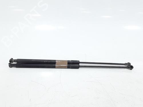 Tailgate lift support NISSAN QASHQAI I (J10, NJ10) 1.5 dCi | BP25167886C138 