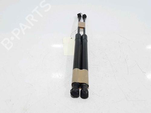 Tailgate lift support RENAULT CLIO IV (BH_) 0.9 TCe 90 (BHNF, BHMA, BHMH, BHJK, BHJR) | BP25168285C138 