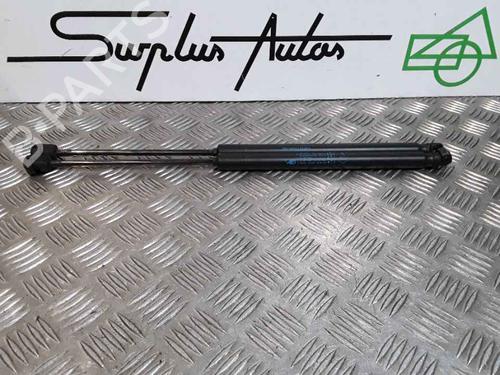Used Tailgate lift support RENAULT CLIO III Grandtour (KR0/1_) 1.5 dCi (KR0F) (86 hp) 25168013