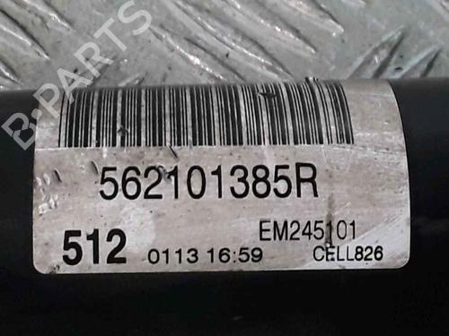Left rear shock absorber RENAULT MEGANE IV Hatchback (B9A/M/N_) 1.5 dCi 110 (B9A3) | BP25196903M18 