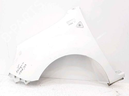 Used Left front fenders RENAULT KANGOO Express (FW0/1_) 1.5 dCi 70 (FW0A, KW0V) (68 hp) 25181652