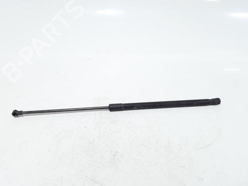Hood lift support TOYOTA RAV 4 II (_A2_) 2.0 D 4WD (CLA20_, CLA21_, CLA20R, CLA21R) | BP25167838C139 