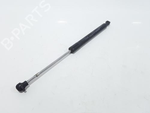 Hood lift support RENAULT CLIO IV (BH_) 1.5 dCi 90 | BP25167736C139 