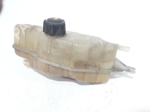 Used Expansion tank RENAULT CLIO III (BR0/1, CR0/1) 1.2 16V (BR02, BR0J, BR11, CR02, CR0J, CR11) (75 hp) 27267101