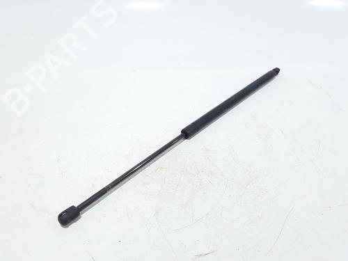 Hood lift support LAND ROVER RANGE ROVER SPORT I (L320) 3.6 D 4x4 | BP25167210C139 