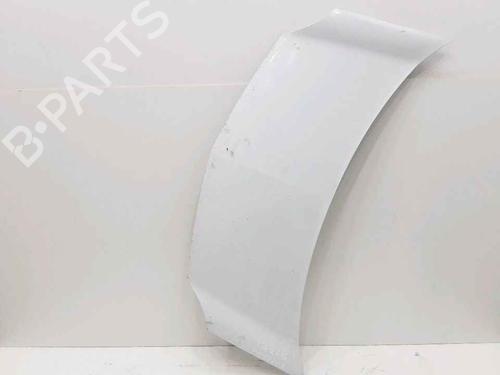 Hood RENAULT KANGOO Express (FW0/1_) 1.5 dCi 85 (FW0K, FW0L, FW0B) | BP25167455C1 