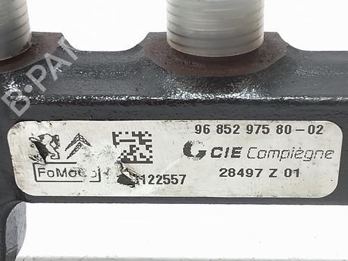 Injection rail FORD FIESTA VI (CB1, CCN) 1.4 TDCi | BP29413802M98