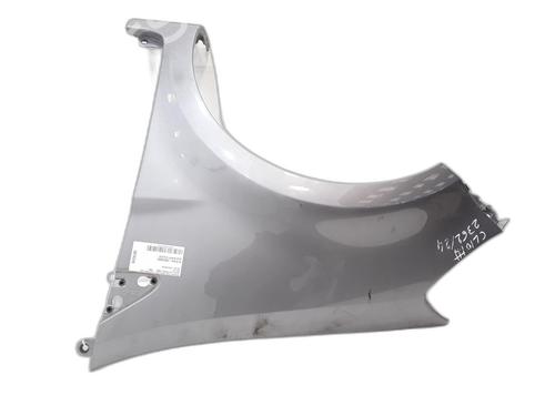Left front fenders RENAULT CLIO III (BR0/1, CR0/1) 1.5 dCi (BR17, CR17) | BP25182276C41 
