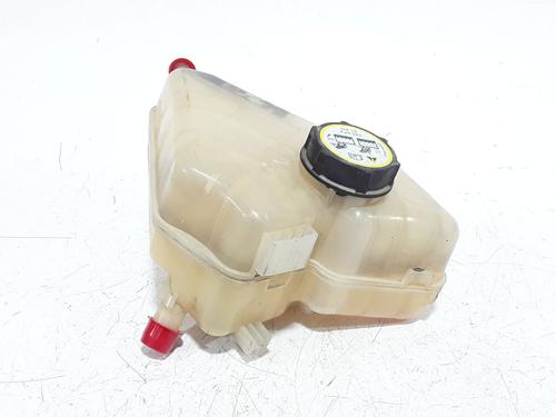 Expansion tank FORD FIESTA VI (CB1, CCN) 1.4 TDCi | BP29379803C120 
