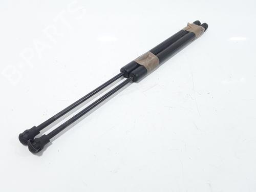 Tailgate lift support RENAULT CLIO IV (BH_) 1.5 dCi 90 | BP25168735C138 