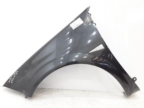 Left front fenders RENAULT MEGANE II (BM0/1_, CM0/1_) 1.9 dCi | BP26723867C41 