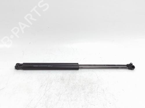 Used Tailgate lift support Tailgate lift support RENAULT TWINGO III (BCM_, BCA_) 0.9 TCe 95 (92 hp) 36460290 36460290