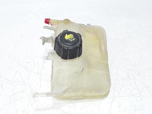 Expansion tank RENAULT MEGANE III Hatchback (BZ0/1_, B3_) 1.5 dCi | BP29144203C120 
