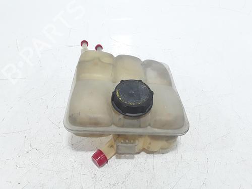 Expansion tank FORD C-MAX (DM2) 1.6 TDCi | BP29230162C120 