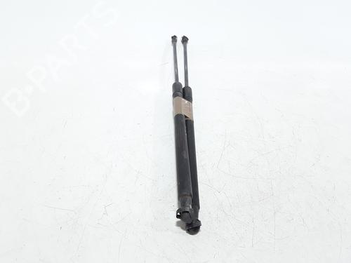 Tailgate lift support NISSAN QASHQAI I (J10, NJ10) 1.5 dCi | BP25167886C138 