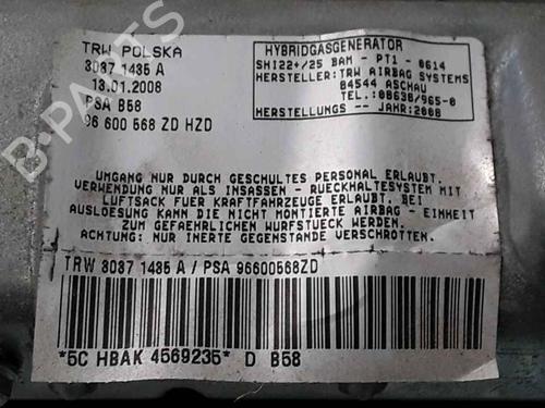 Other CITROËN C4 Picasso I MPV (UD_) 2.0 HDi 138 | BP25159976O1 