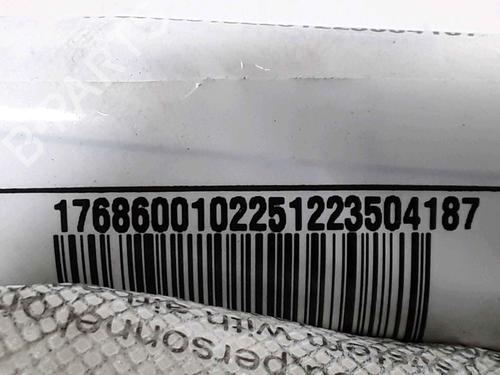 Left curtain airbag MERCEDES-BENZ A-CLASS (W176) A 200 CDI (176.001) | BP25160489C11 