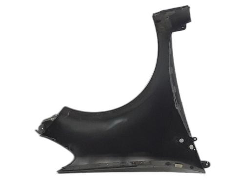 Left front fenders RENAULT CLIO III (BR0/1, CR0/1) 1.5 dCi (BR17, CR17) | BP31875376C41