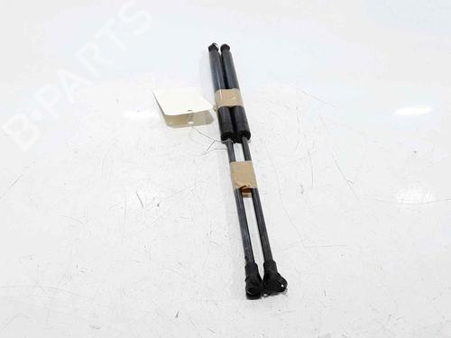 Tailgate lift support FIAT PANDA (169_) 1.2 (169.AXB11, 169.AXB1A) | BP25168601C138 