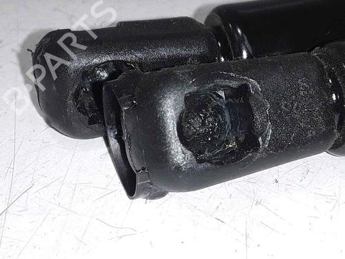 Gassdemper Bakluke FIAT PUNTO (188_) 1.3 JTD 16V | BP25168848C138 