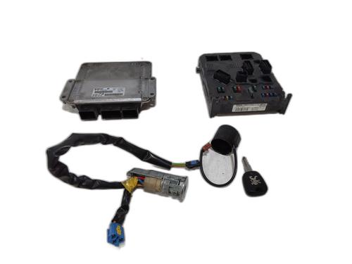 Elektronisk modul PEUGEOT 206 Hatchback (2A/C) 2.0 HDI 90 (90 hp) 29317660