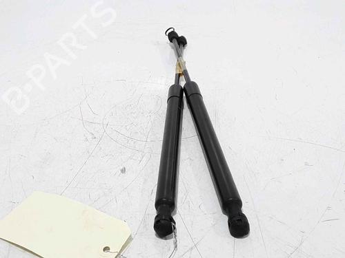 Tailgate lift support RENAULT CLIO IV (BH_) 1.5 dCi 75 | BP25168828C138 