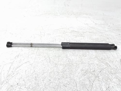 Used Tailgate lift support Tailgate lift support RENAULT LAGUNA Coupe (DT0/1) 2.0 dCi (DT01, DT08, DT09, DT0K, DT12, DT1C, DT1D, DT1M,... (150 hp) 39754942 39754942