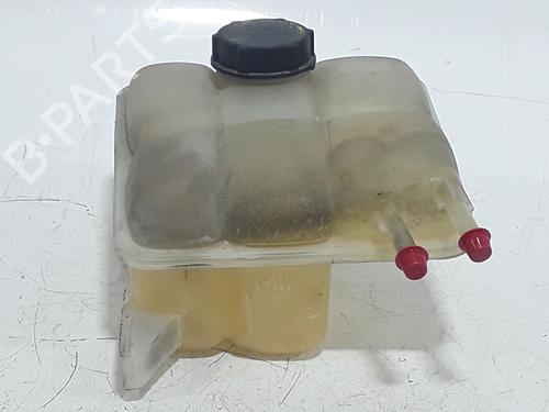 Used Expansion tank FORD C-MAX (DM2) 1.6 TDCi (90 hp) 29230162
