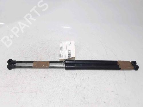 Tailgate lift support RENAULT CLIO IV (BH_) 1.5 dCi 90 | BP25168599C138 