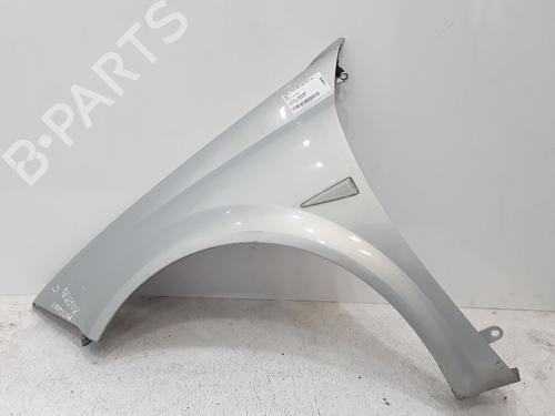 Used Left front fenders RENAULT MEGANE II Coupé-Cabriolet (EM0/1_) 1.9 dCi (120 hp) 25343982
