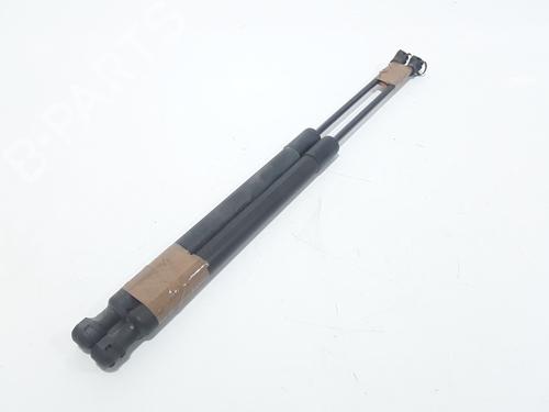 Tailgate lift support RENAULT CLIO IV (BH_) 1.5 dCi 75 | BP25767406C138 