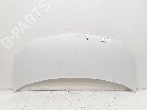Panser RENAULT KANGOO Express (FW0/1_) 1.5 dCi 70 (FW0A, KW0V) (68 hp) 25167176