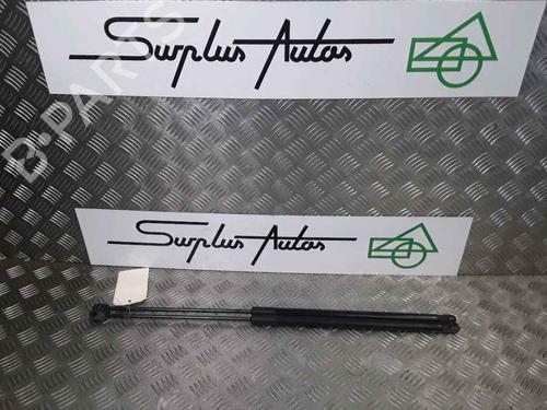 Tailgate lift support RENAULT MEGANE III Coupe (DZ0/1_) 1.9 dCi (DZ0N, DZ0J, DZ1J, DZ1K) | BP25168294C138 